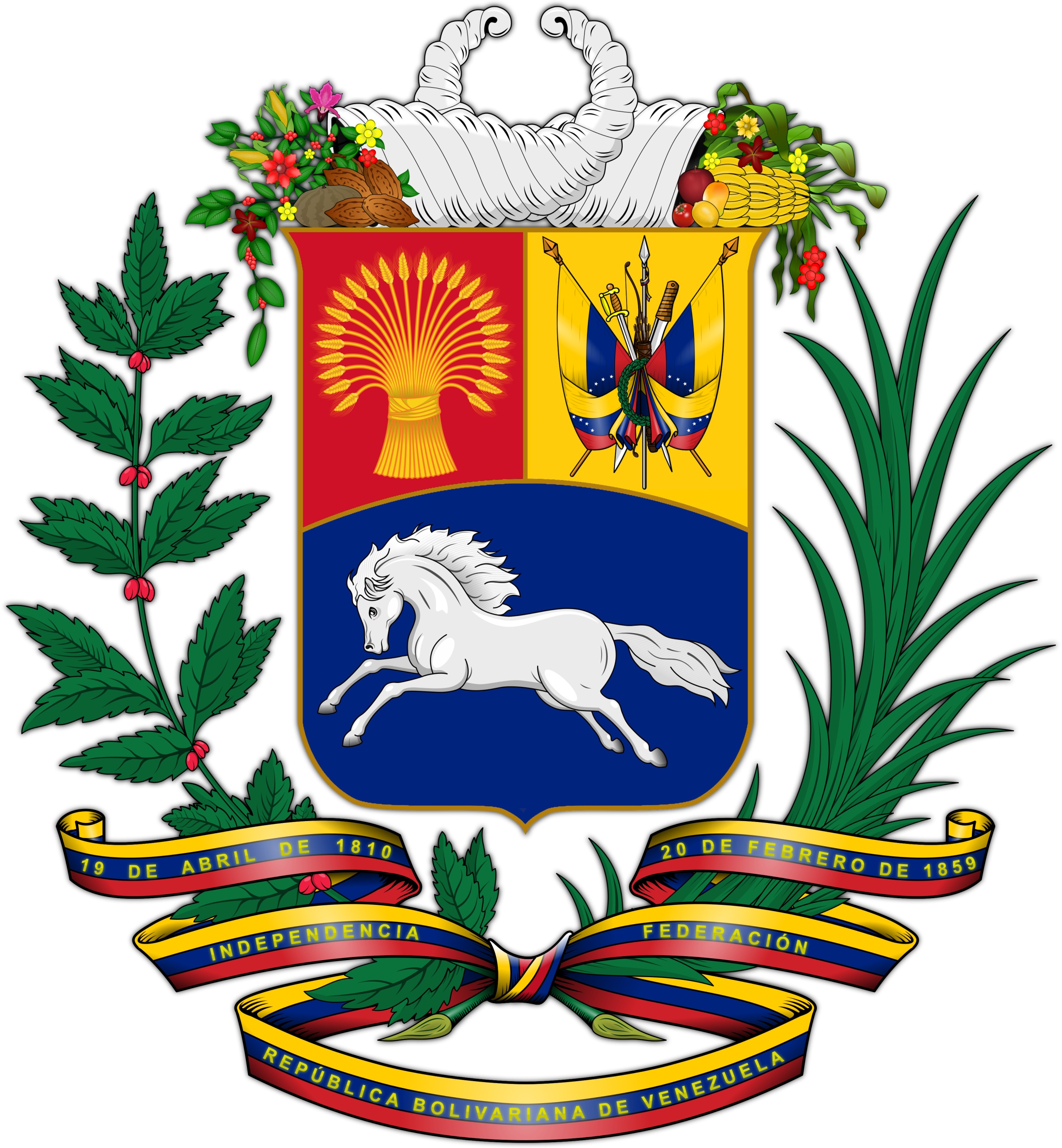 Best IPTV Package in Venezuela